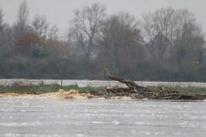 La Loire en crue le 25 novembre 2016
