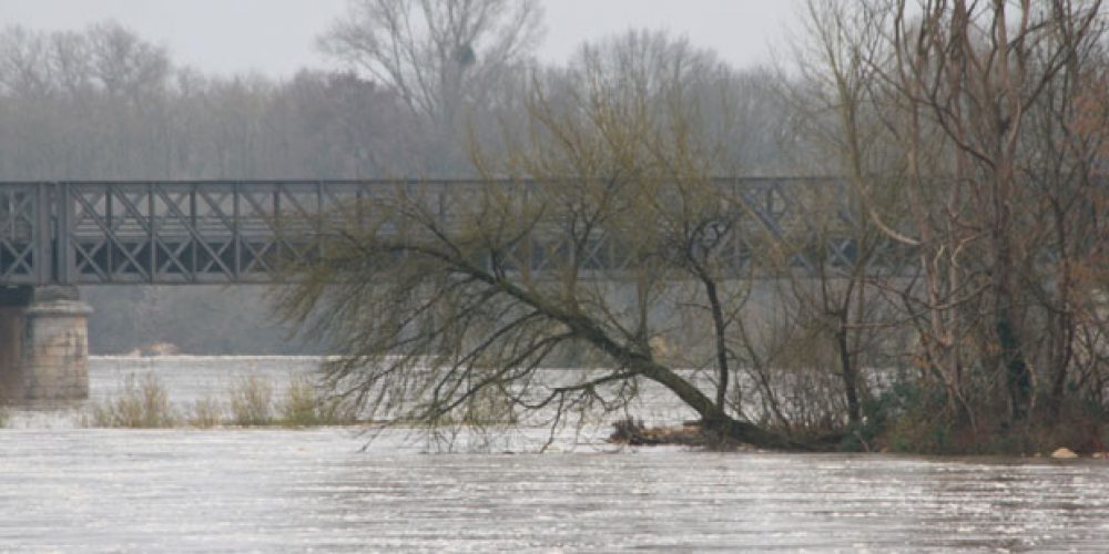 La Loire en crue à Pouilly