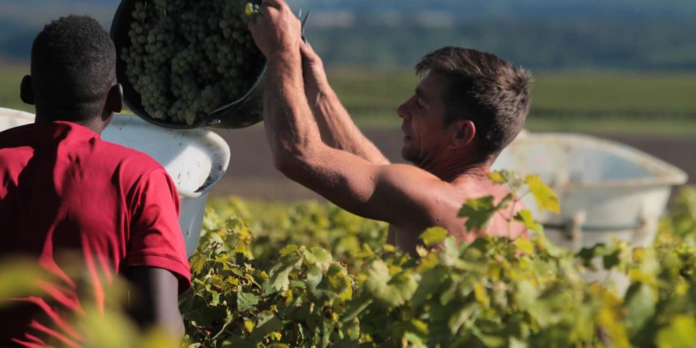 Domaine du Bouchot