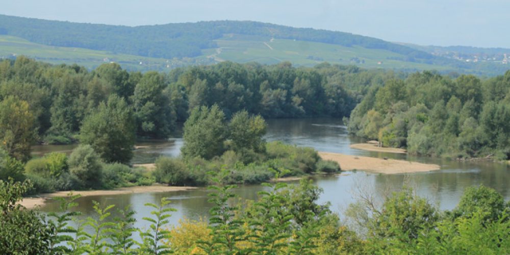 Les bords de Loire à Pouilly