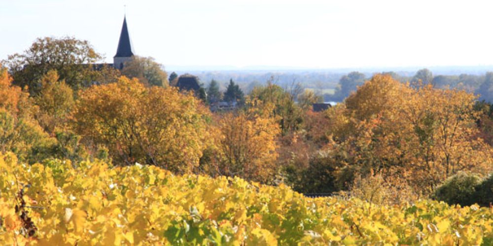 Pouilly-sur-Loire Automne 2015