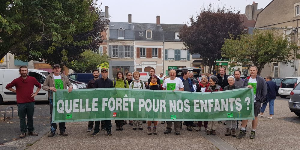 Marche pour la forêt