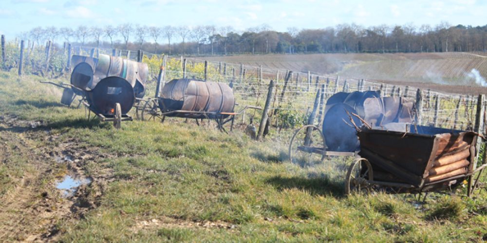 Le temps de la taille à Pouilly-sur-Loire