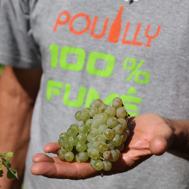 Notre catalogue des vins 2025