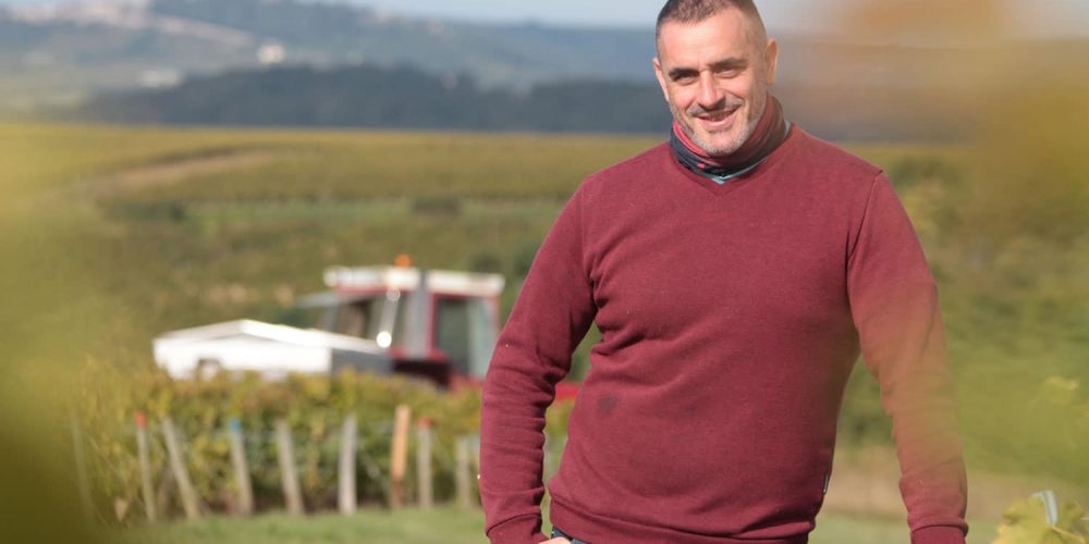 Vendanges au Domaine Bailly