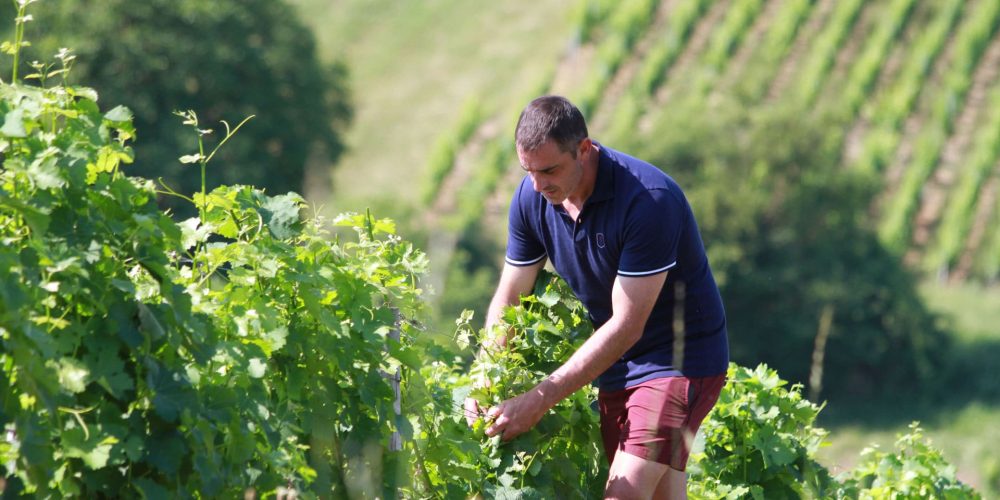 Patrice Bailly vigneron du mois de pouilly-sur-loire.com 2017
